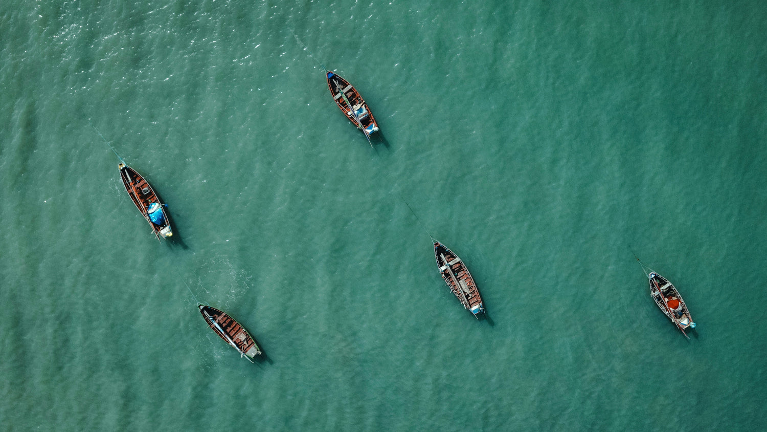 SHOP ALL - DONNATELLA MACKENZIE