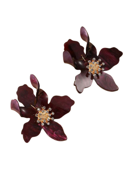 VANDA  - CURRANT