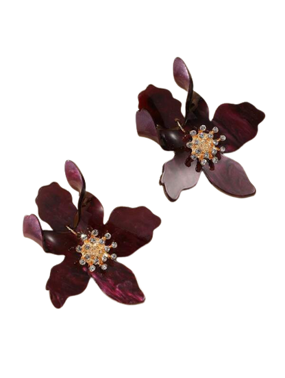 VANDA  - CURRANT